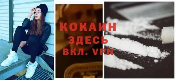 дмт Россошь