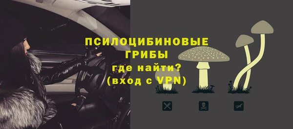 дмт Россошь