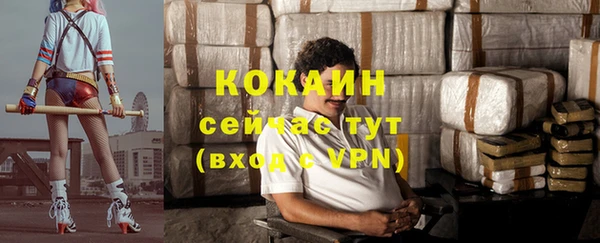 дмт Россошь