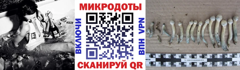 Галлюциногенные грибы мицелий  Купить где  Правдинск 