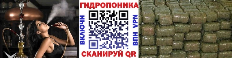 Купить закладки  Правдинск  Каннабис план 